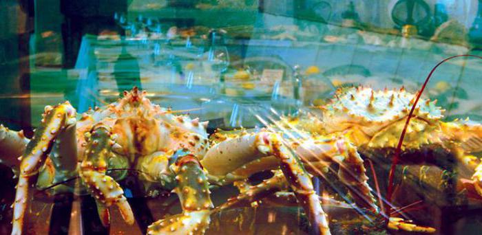 Best fish restaurants in Moscow rating