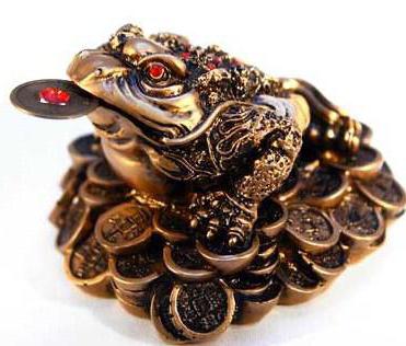 what to do to get money