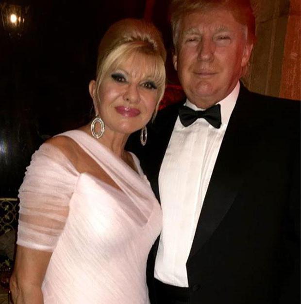 biography of donald trump