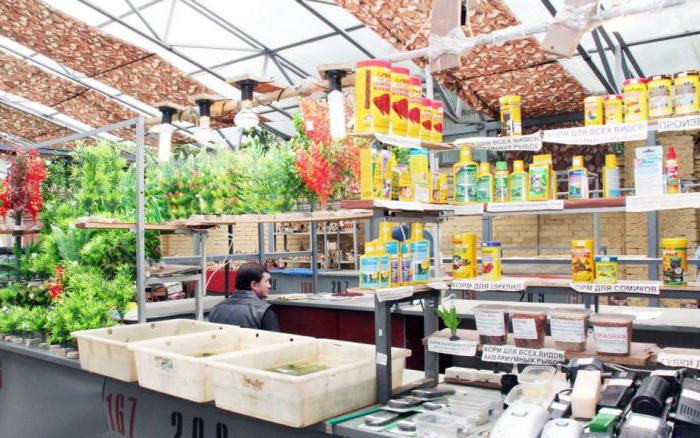 bird market in St. Petersburg address