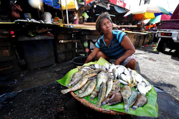 self-employed population taxes