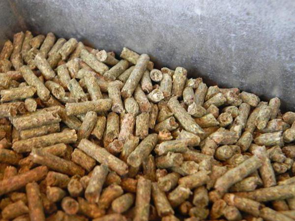 compound feed for rabbits