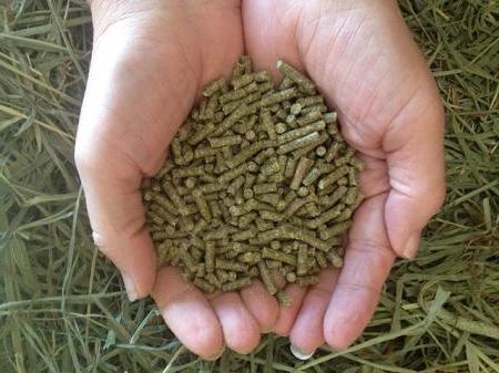 DIY feed for rabbits