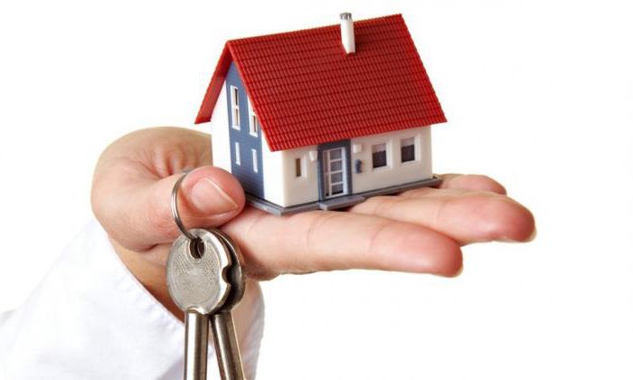 unemployed pensioner