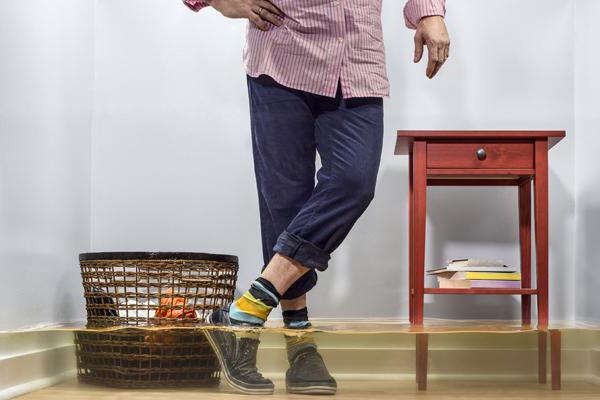 apartment bay examination