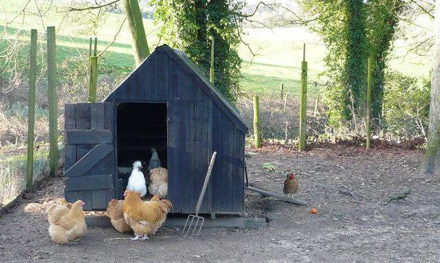 chicken coop in the country