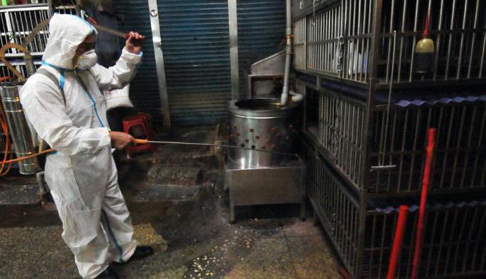 chicken coop disinfectant