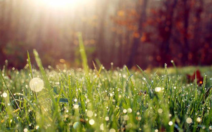 nature management and environmental protection