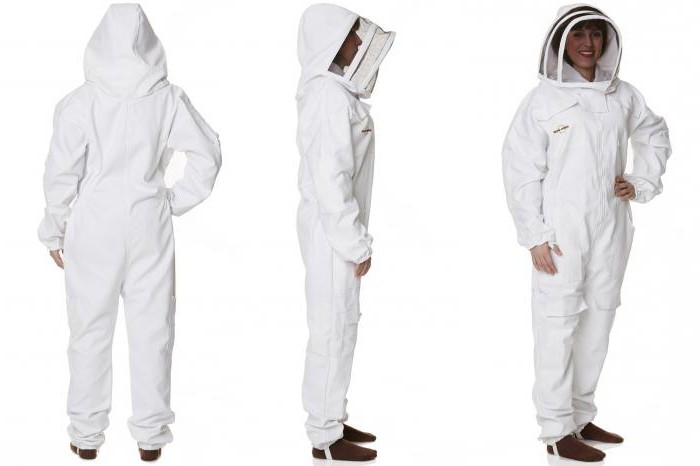 bee breeding for beginners photo