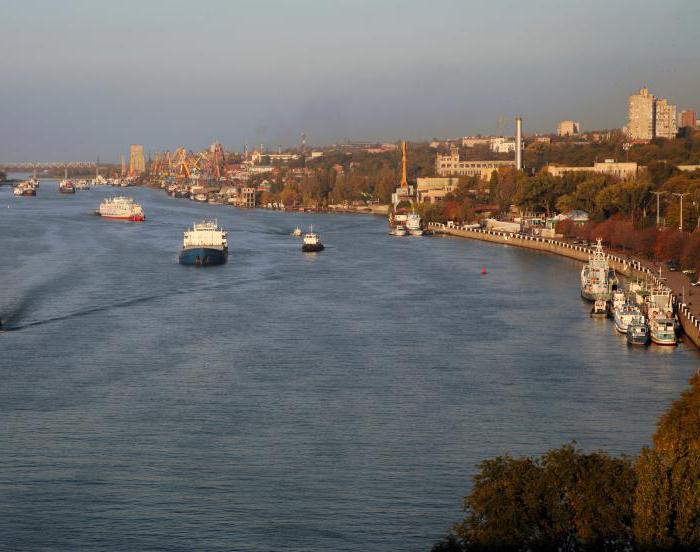 Rostov population in the Don