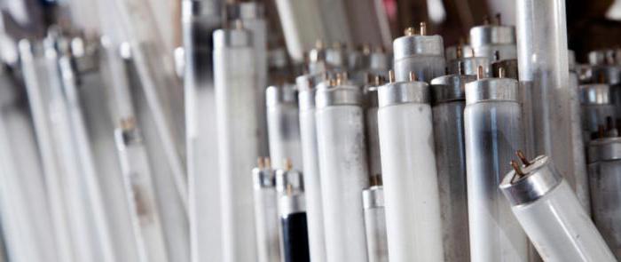 collection and disposal of fluorescent lamps