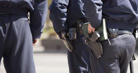 limited arms firearm license