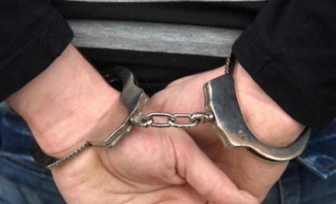 articles of the law on the police of the russian federation