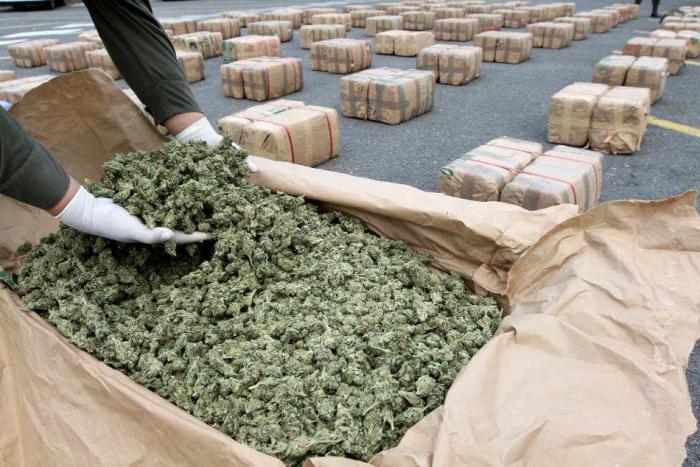 sentence under Article 228 of the Criminal Code of the Russian Federation