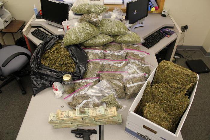 Article 228 of the Russian Federation amendments