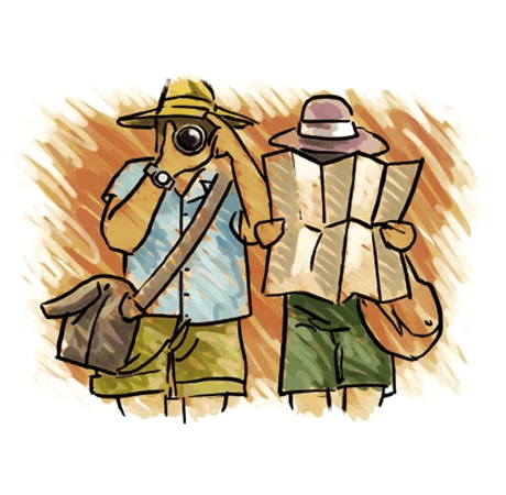 which tour operator to choose