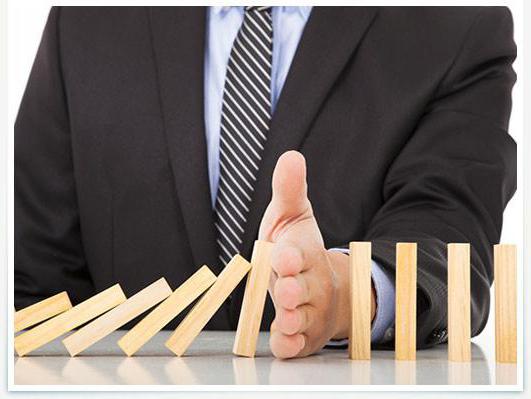 entrepreneurial risk