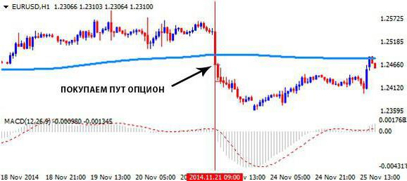 binary options reviews