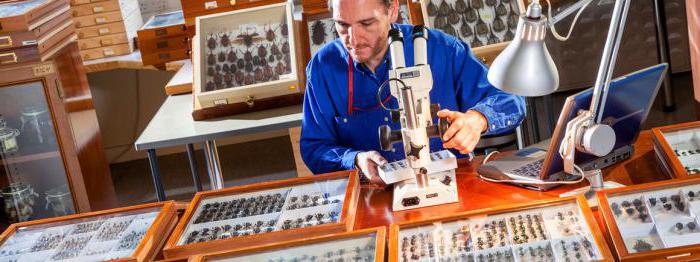 product identification