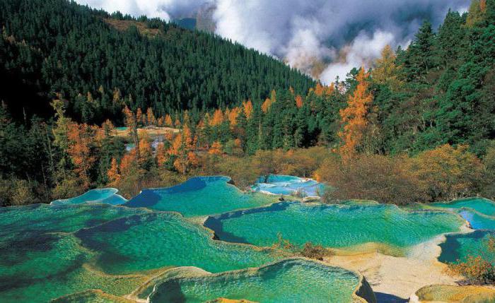 aquatic biological resources