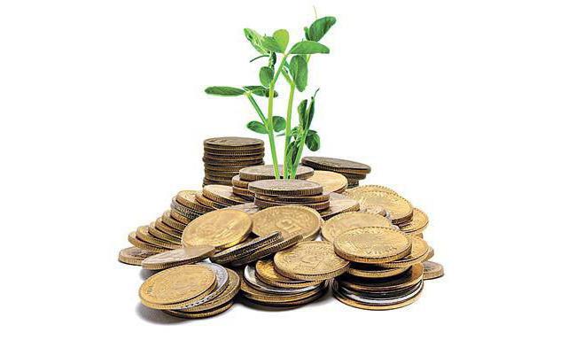  reorganization what is it