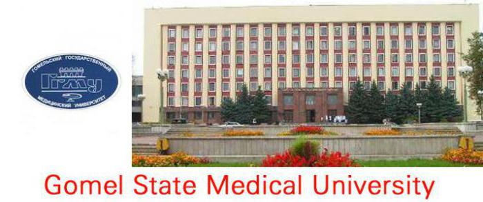 Gomel State University