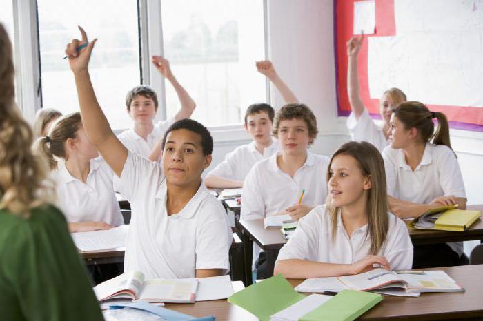 examples of social projects