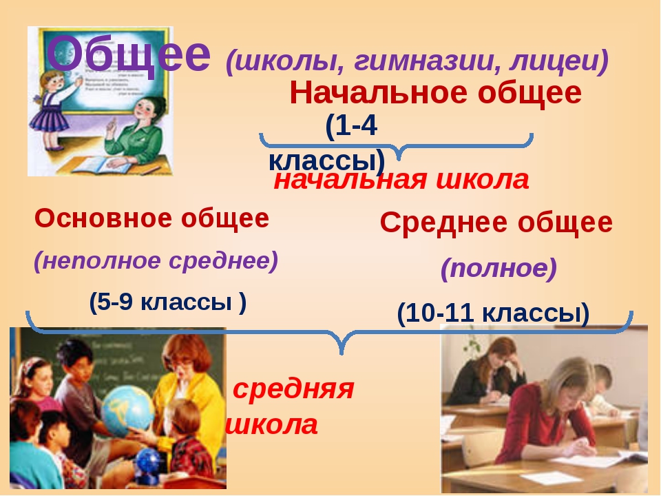 structure of education in the Russian Federation