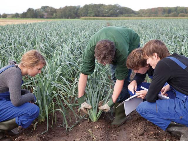 how to encourage young professionals