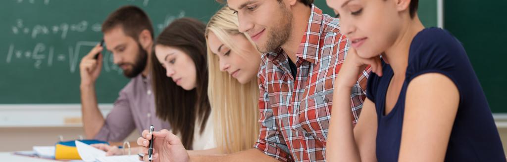 teacher's professional standard