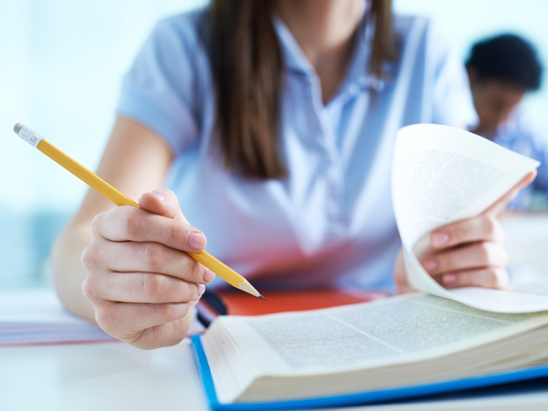 pedagogical activity educator teacher