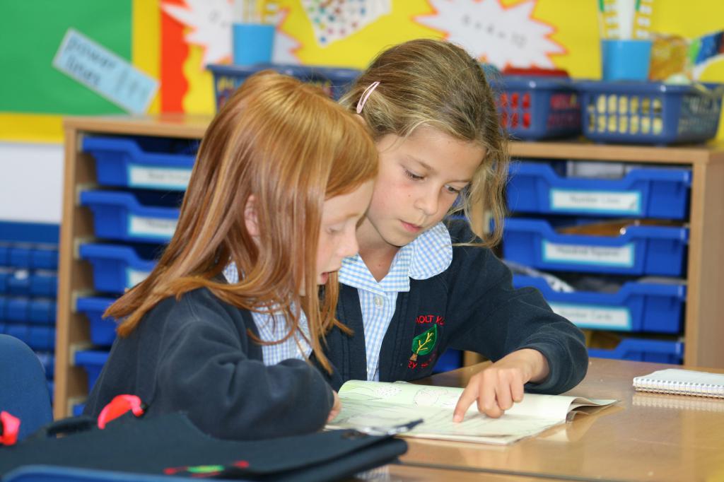 What does a social educator do