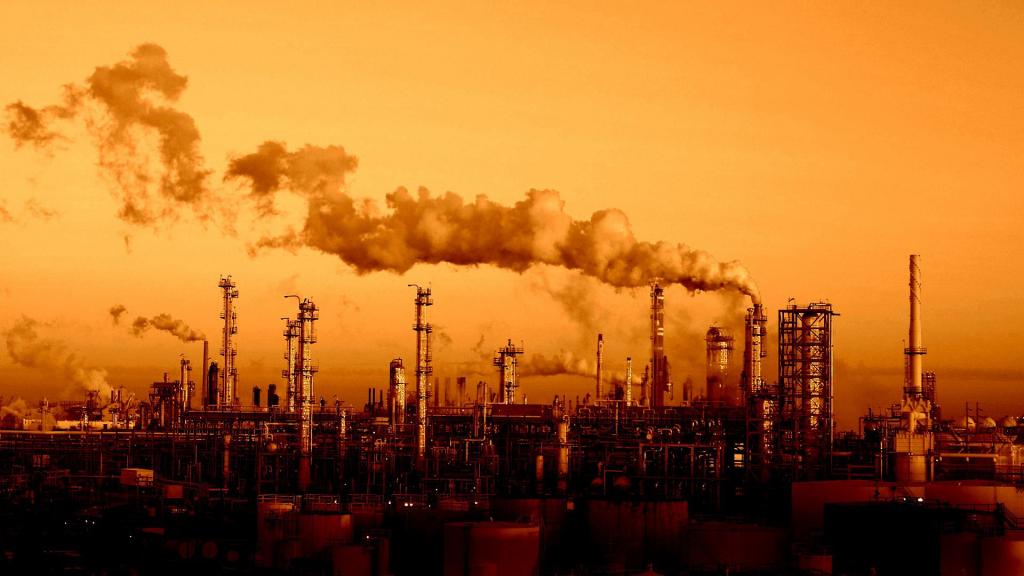 environmental oversight service