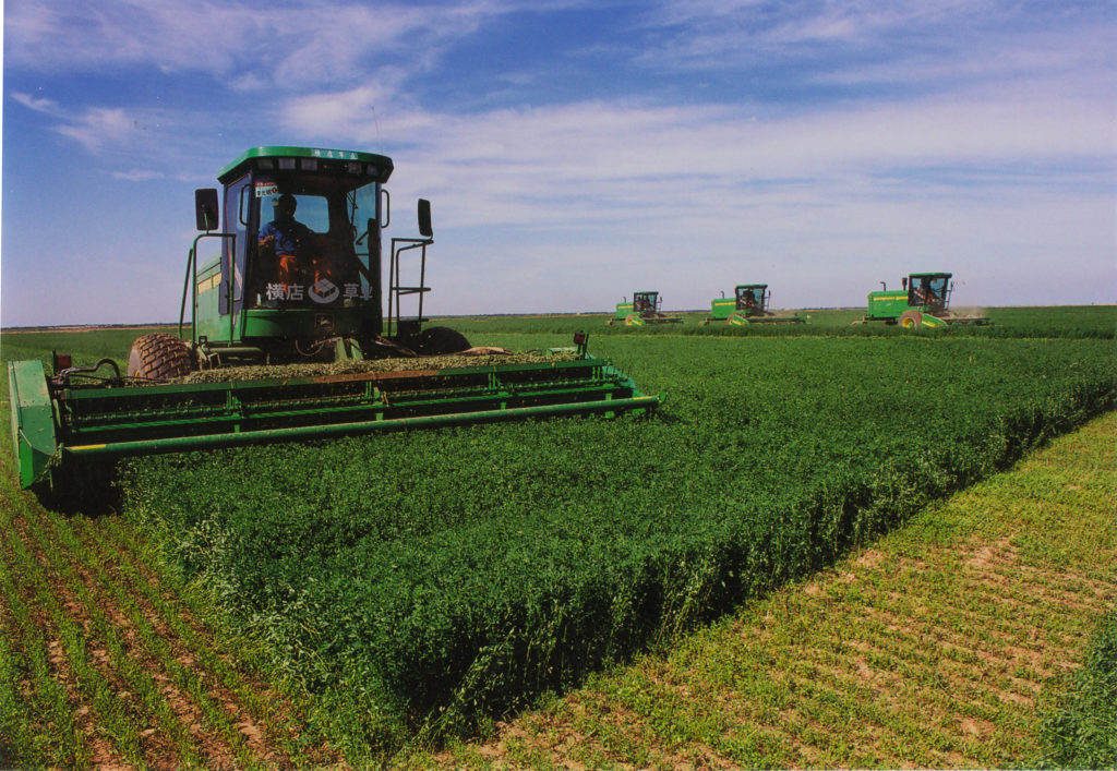 Charter of the TOS of the municipality