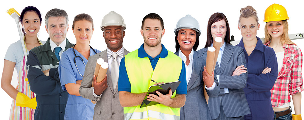 what are the requirements for working professions