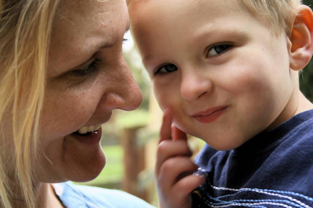 features of a foster family