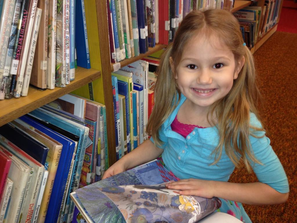 librarian profession