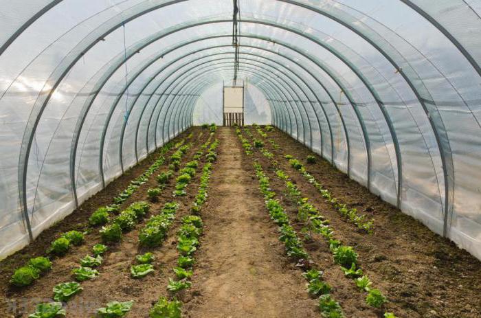 industrial greenhouses with heating