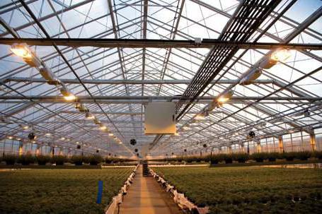 construction of industrial greenhouses