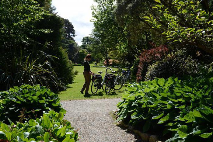 meaning of the word downshifting