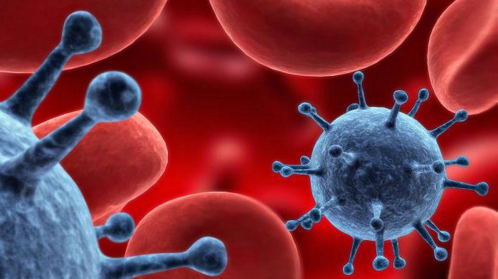  anti-epidemic measures