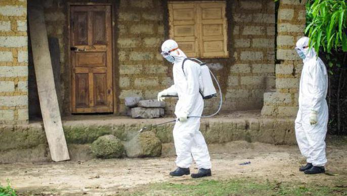 anti-epidemic measures in the focus of infection