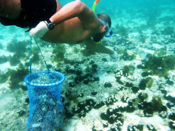 what professions are rare