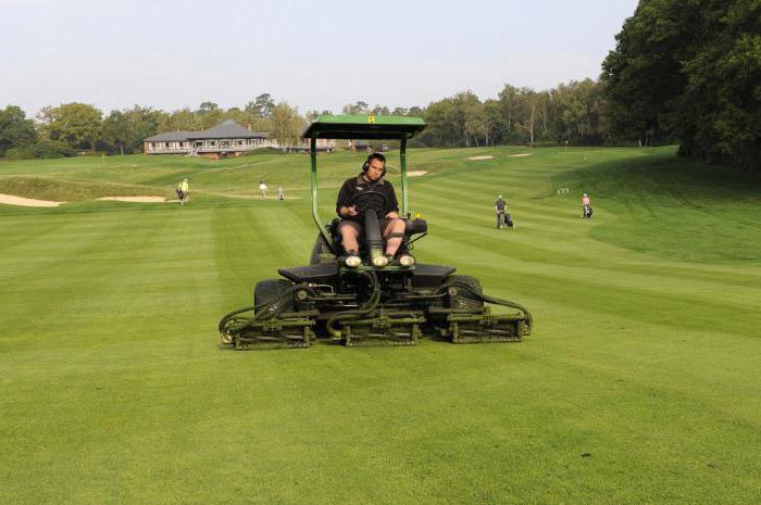 rare professions of the world