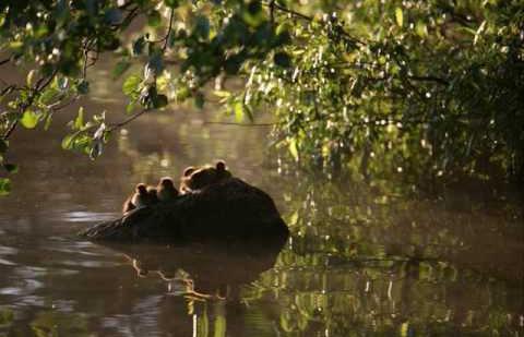 Finland Visa Center in Moscow address