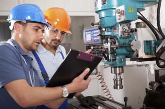 Company organization