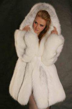 Lapland show room in Moscow