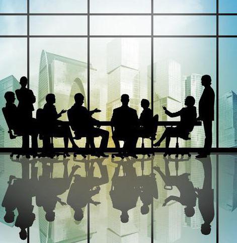 decision of the founder llc sample