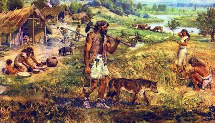 traditional society signs