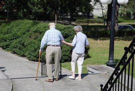 categories of disabled Kosgu transcript